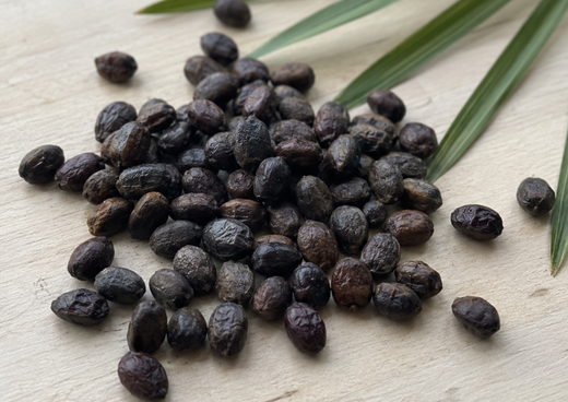 Saw Palmetto